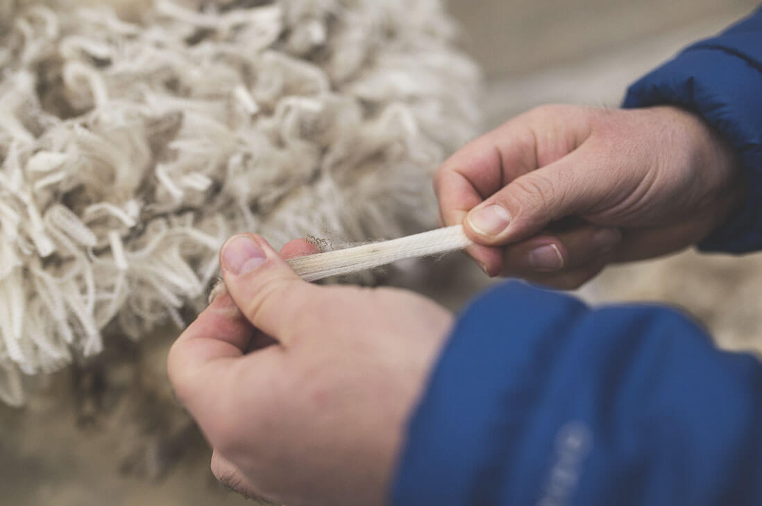 Merino Wool Fiber | Hands Touching Wool | Natural Textile Fiber | Emotional Shot | Hand Detail |
